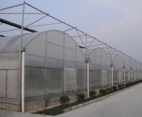 连栋薄膜温室