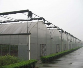 连栋薄膜温室