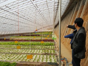 种养结合循环农业建设的重要性和紧迫性