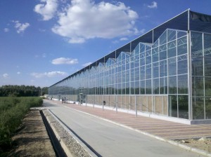 种养结合循环农业建设是提高农业竞争力的需要