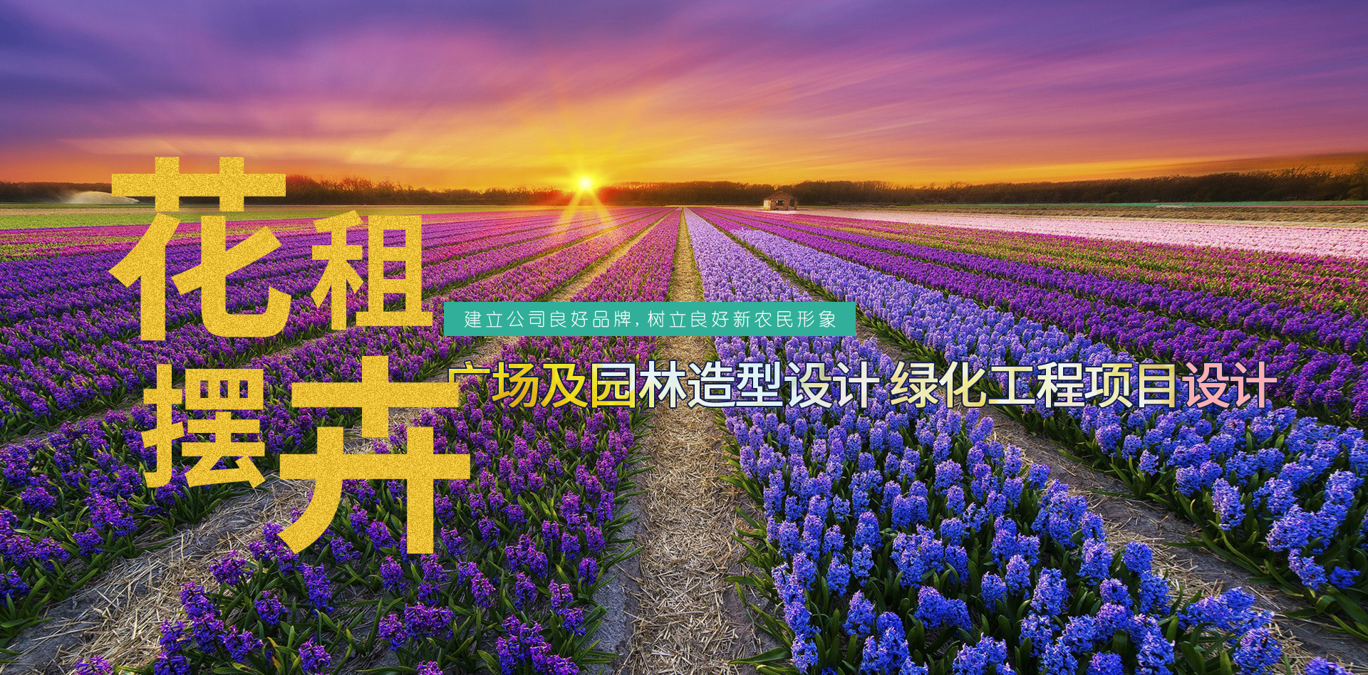 山东诺亿农业发展有限公司